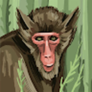 Meet your Posher, Bob